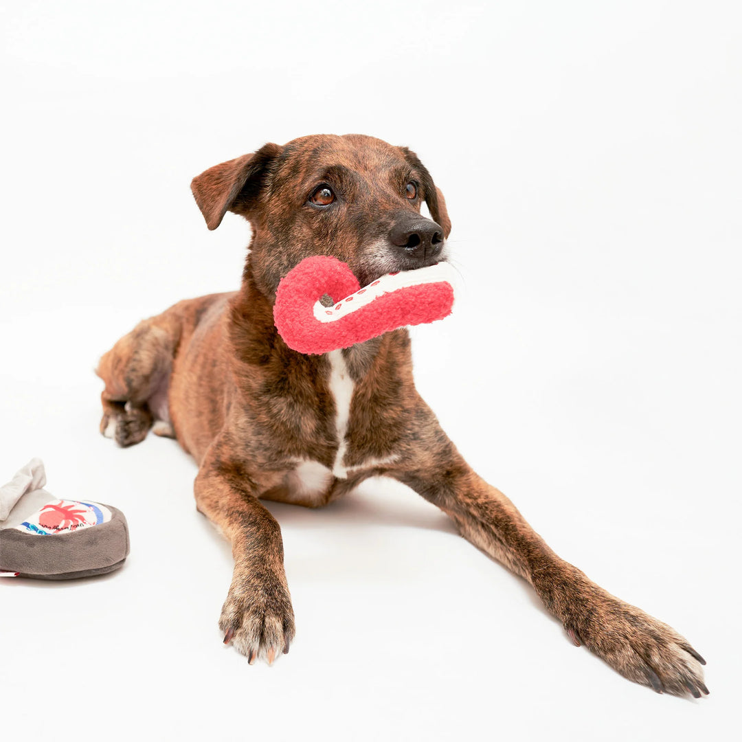 Tinned Octopus Enrichment Dog Toy