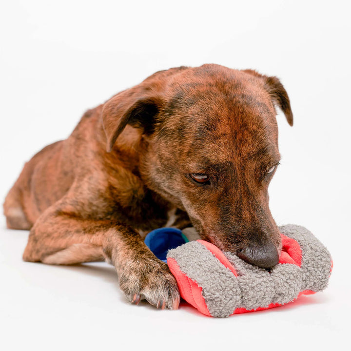 Tinned Salmon Enrichment Dog Toy