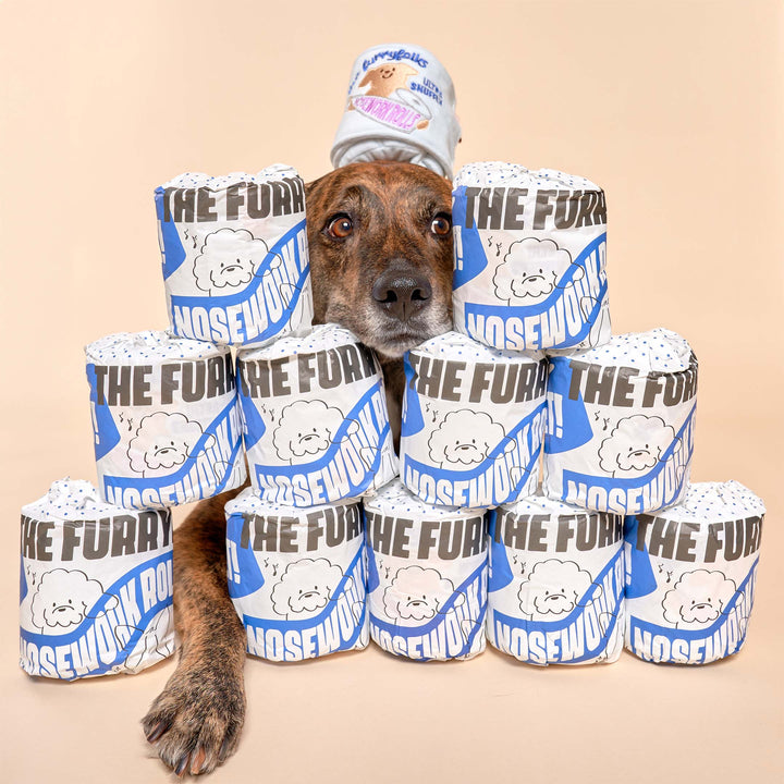 Toilet Paper Enrichment Dog Toy