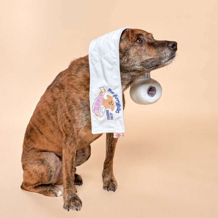 Toilet Paper Enrichment Dog Toy