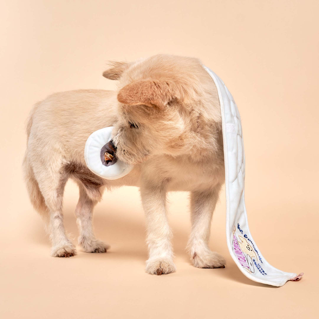 Toilet Paper Enrichment Dog Toy