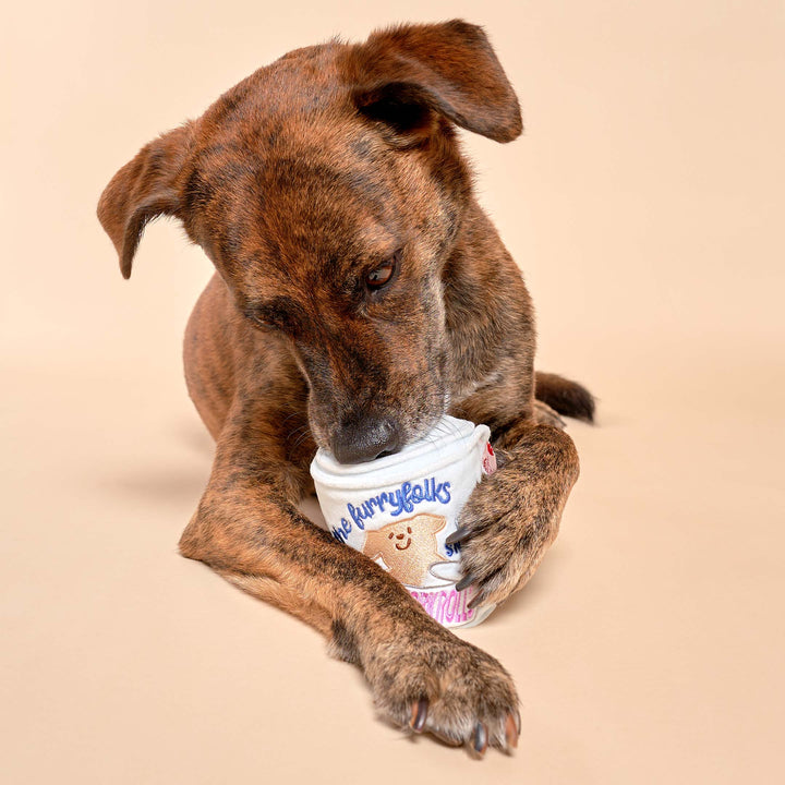 Toilet Paper Enrichment Dog Toy