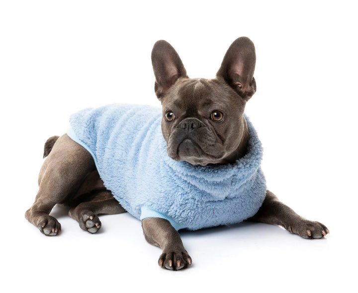 Turtle Teddy Sweater