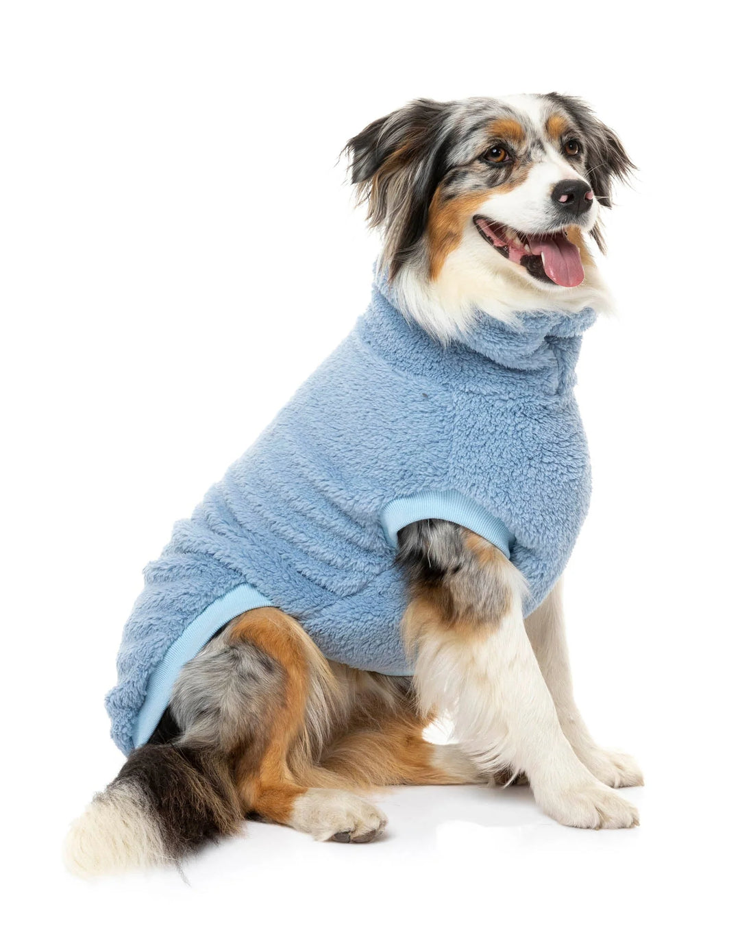 Turtle Teddy Sweater