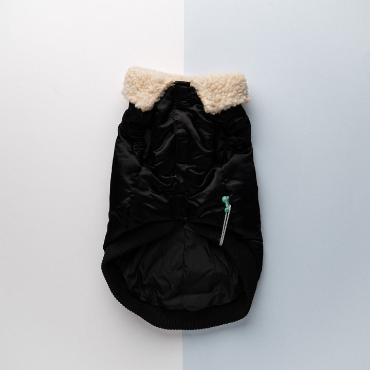 The Zoomie Jacket