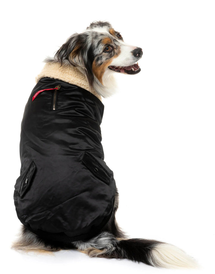 The Zoomie Jacket