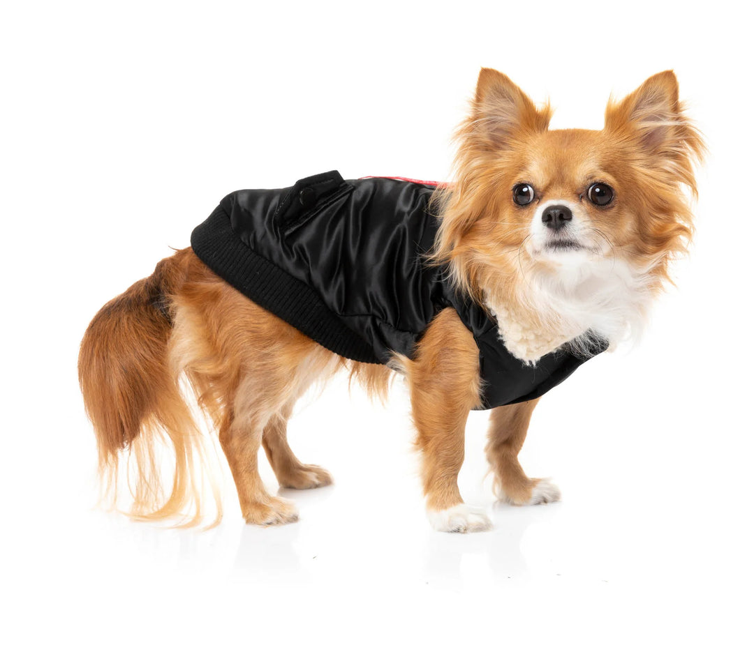 The Zoomie Jacket