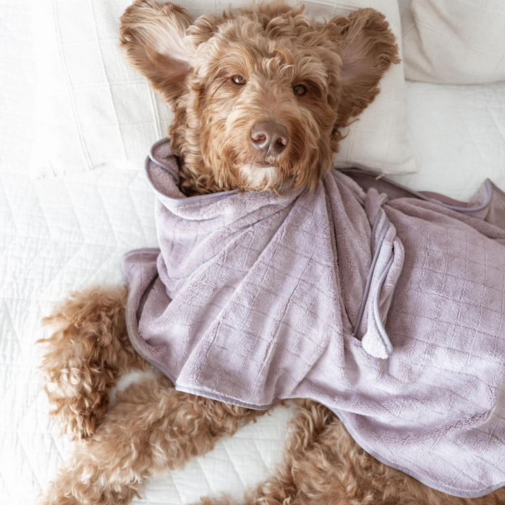 Baby Fleece Bathrobe for Dogs