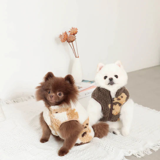 Dog Bear Vest