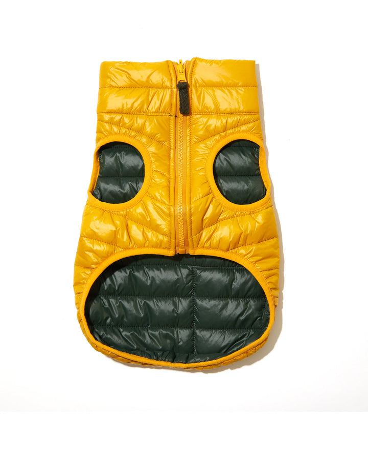 Puffer Vest in Black