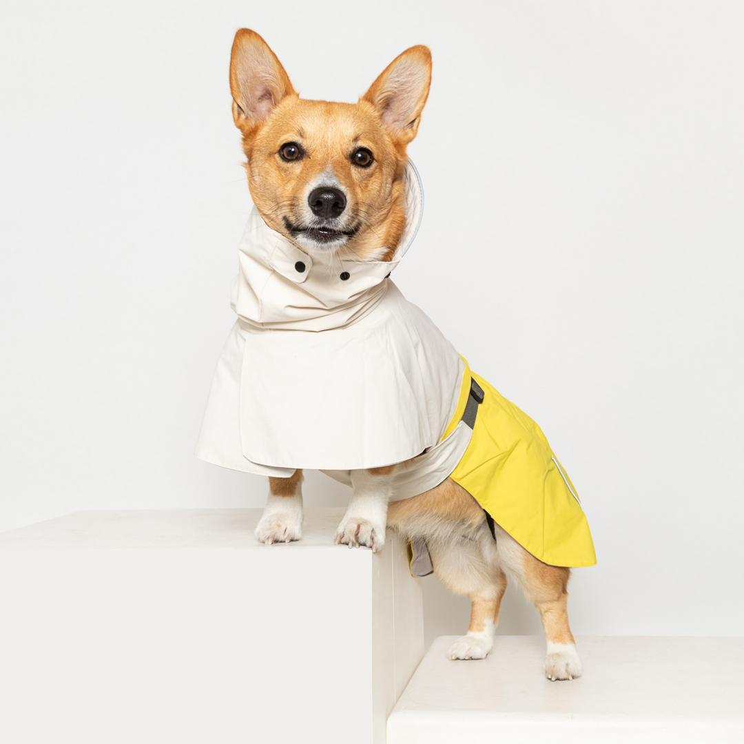Waterproof Raincoat for Dogs