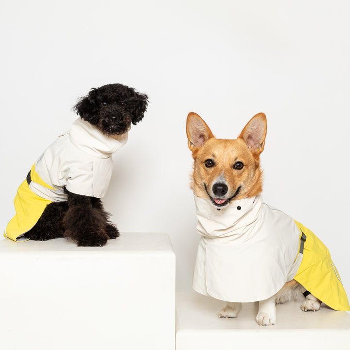 Waterproof Raincoat for Dogs