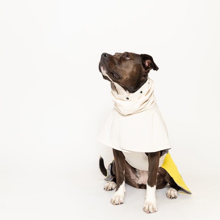 Waterproof Raincoat for Dogs
