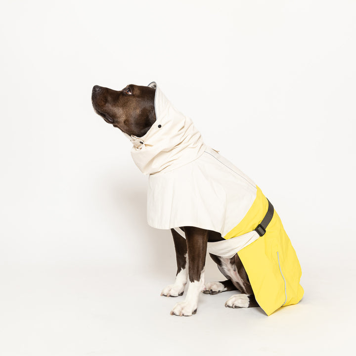 Waterproof Raincoat for Dogs
