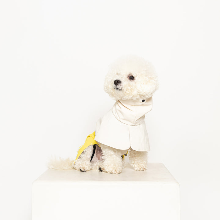 Waterproof Raincoat for Dogs
