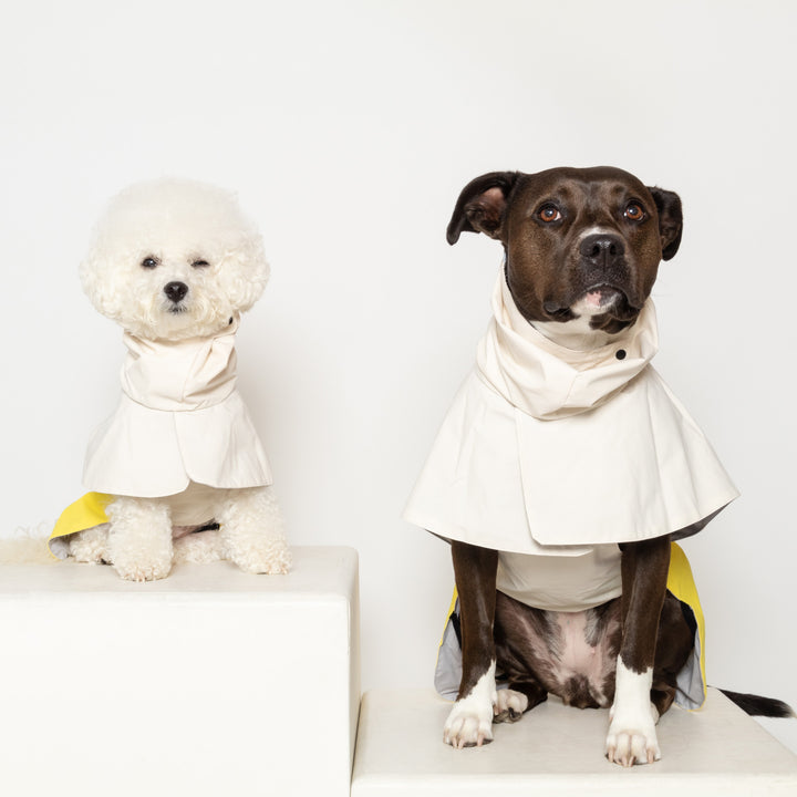 Waterproof Raincoat for Dogs