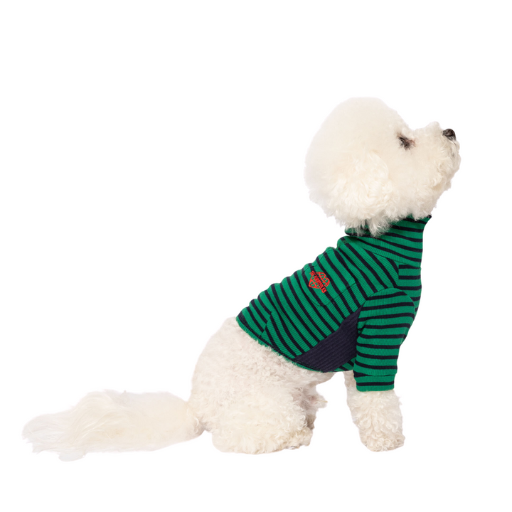 Dog V-Neck Sweater