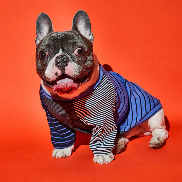 Blue Stripe T-Shirt