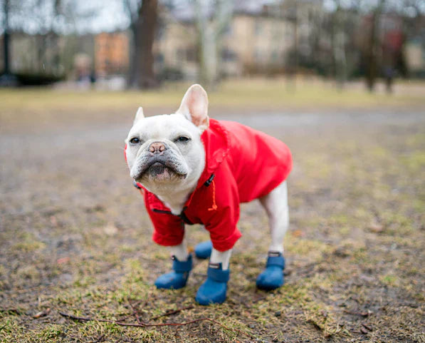WagWellies Dog Boots
