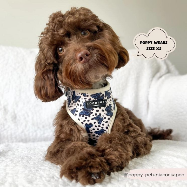 Pupperfly Adjustable Neck Harness