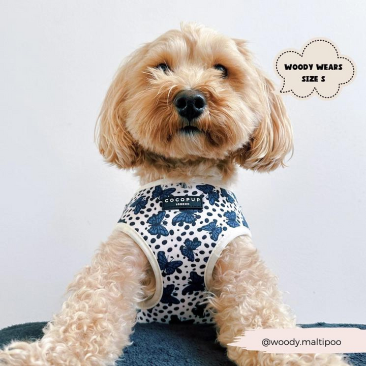 Pupperfly Adjustable Neck Harness