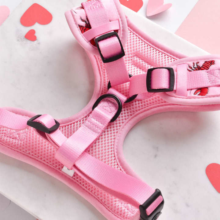 Lobster Love Adjustable Neck Harness