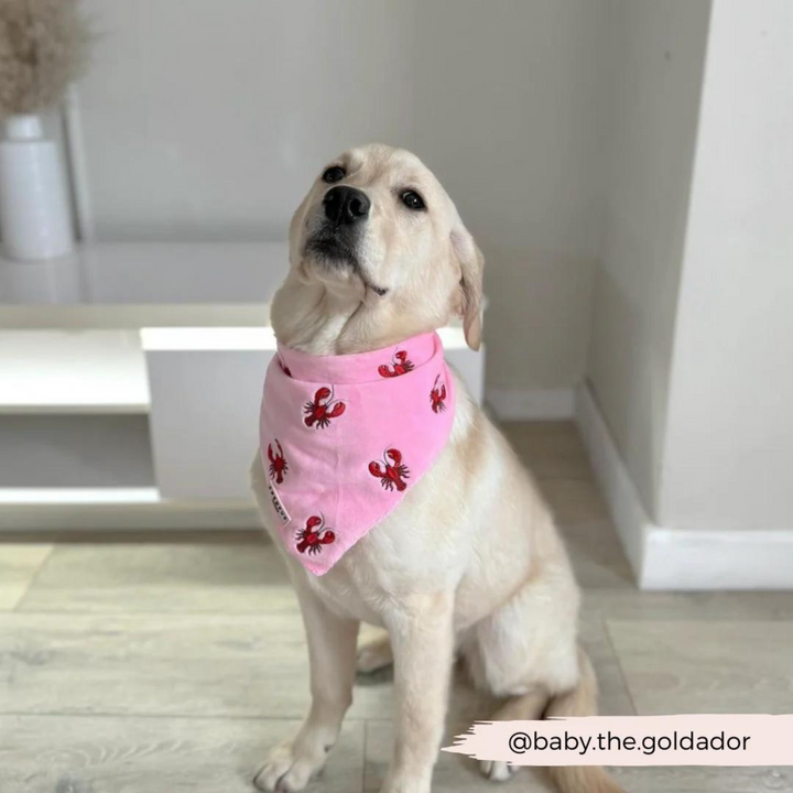 Luxe Velvet Bandana - Lobster Love