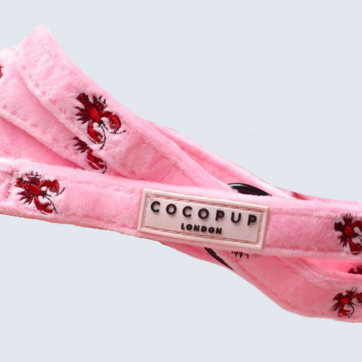 Luxe Velvet Puppy Lead - Lobster Love
