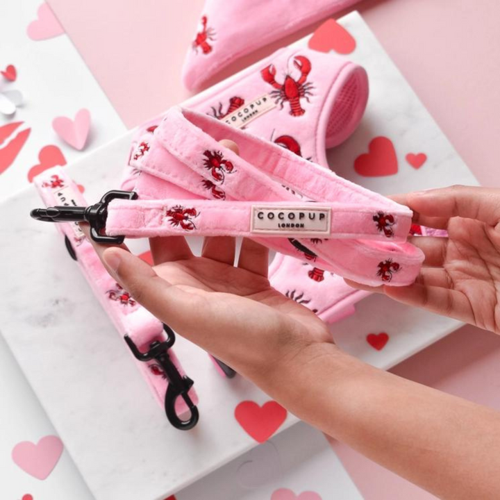 Luxe Velvet Puppy Lead - Lobster Love