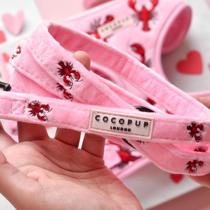 Luxe Velvet Puppy Lead - Lobster Love
