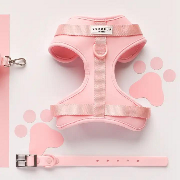 Adjustable Neck Harness