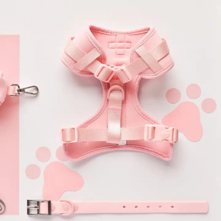 Adjustable Neck Harness