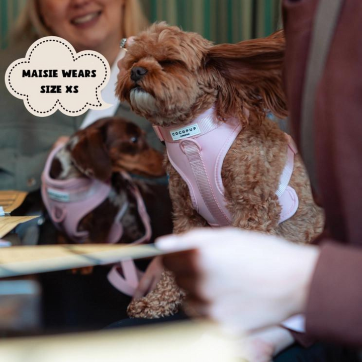 Adjustable Neck Harness