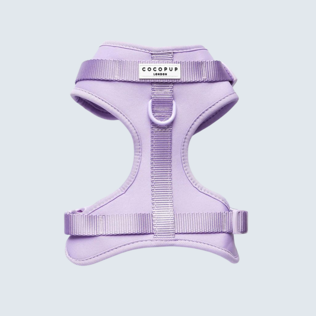 Adjustable Neck Harness