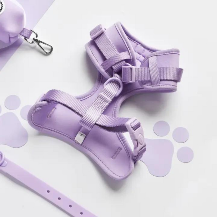 Adjustable Neck Harness