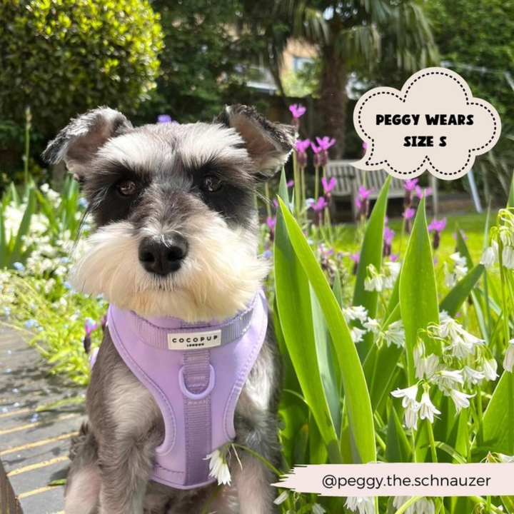 Adjustable Neck Harness