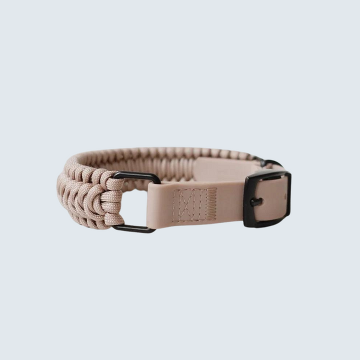 New Jupiter Dog Collar