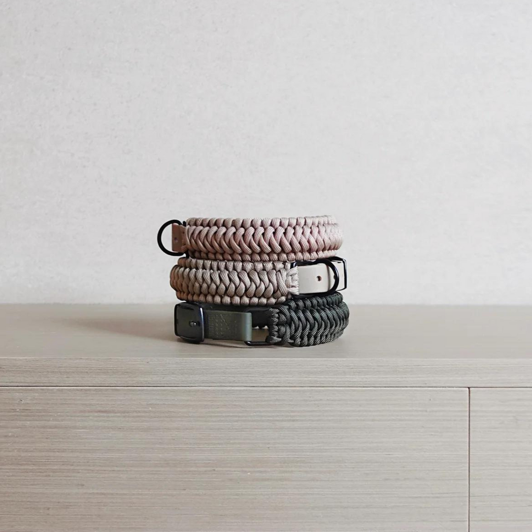 New Jupiter Dog Collar