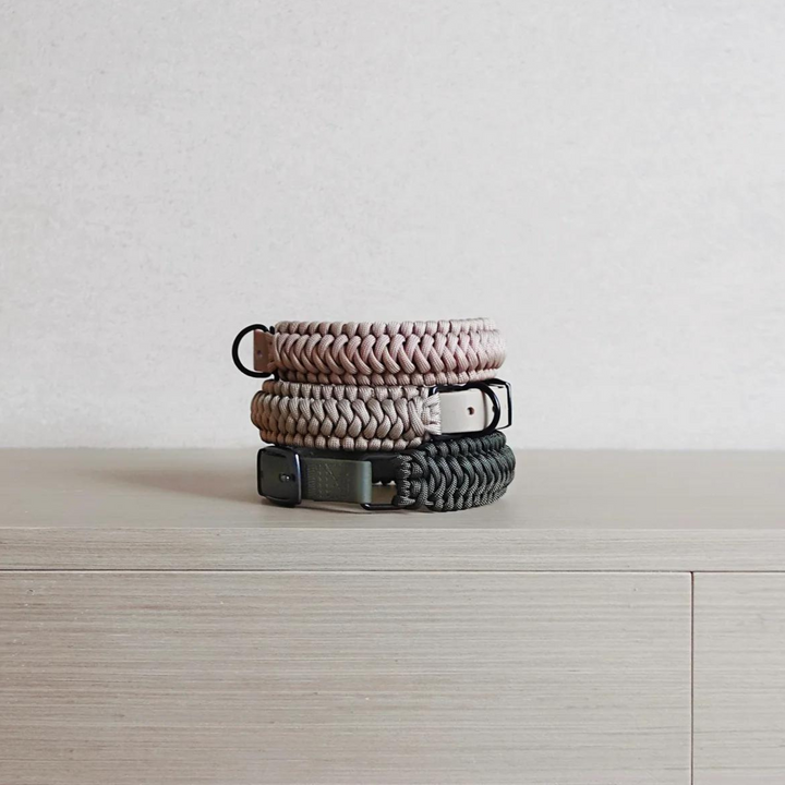 New Jupiter Dog Collar