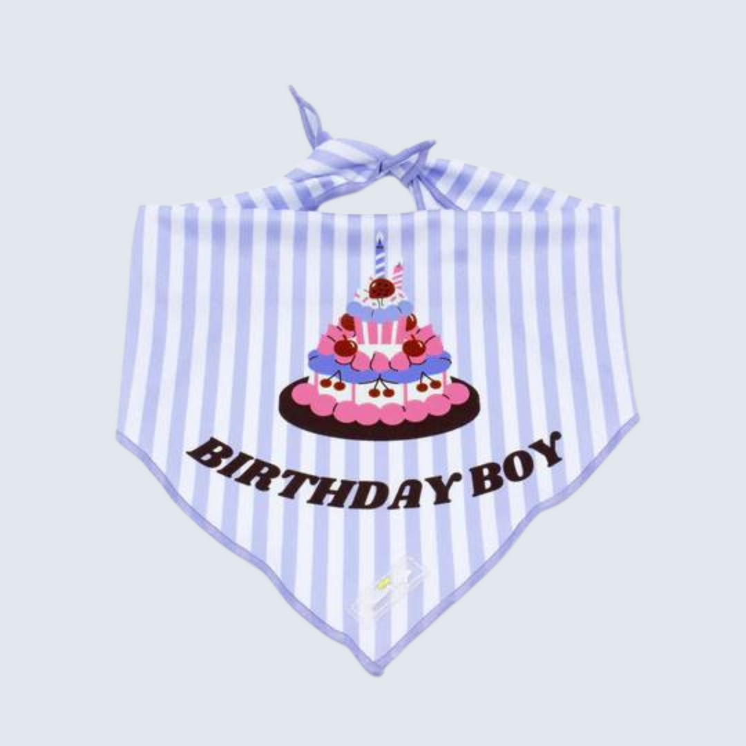 Cooling Dog Bandana - Birthday Boy
