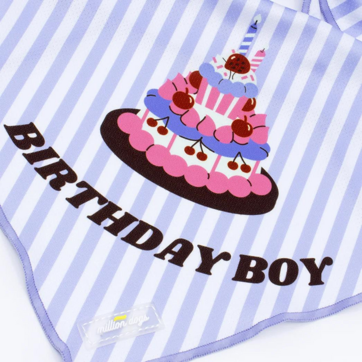 Cooling Dog Bandana - Birthday Boy