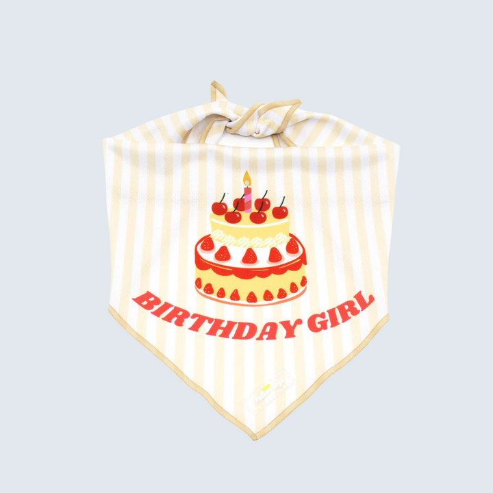 Cooling Dog Bandana - Birthday Girl