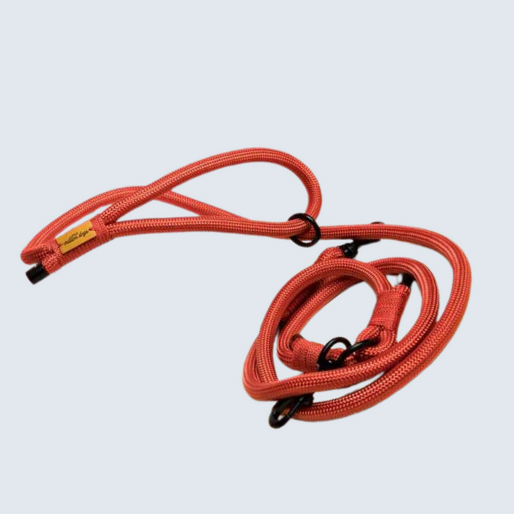 Hands-Free Rope Lead