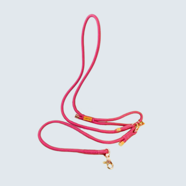 Hands-Free Rope Lead