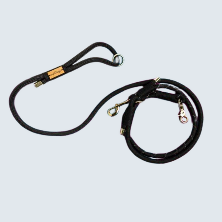 Hands-Free Rope Lead