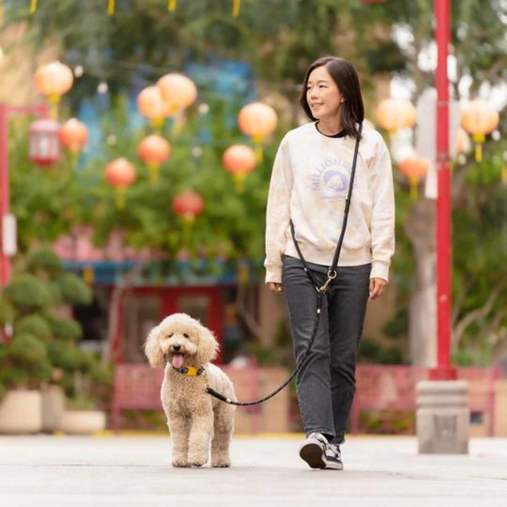 Hands-Free Rope Lead