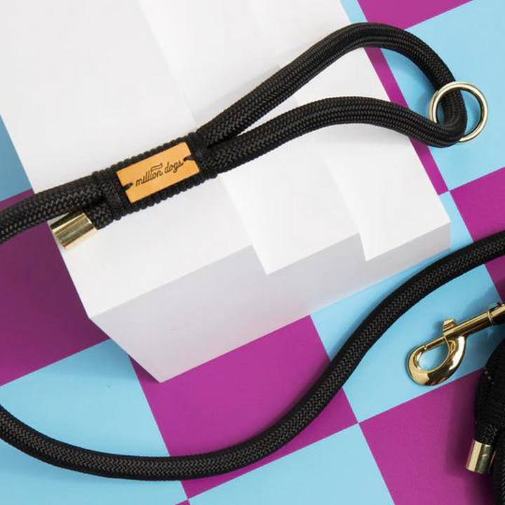 Hands-Free Rope Lead