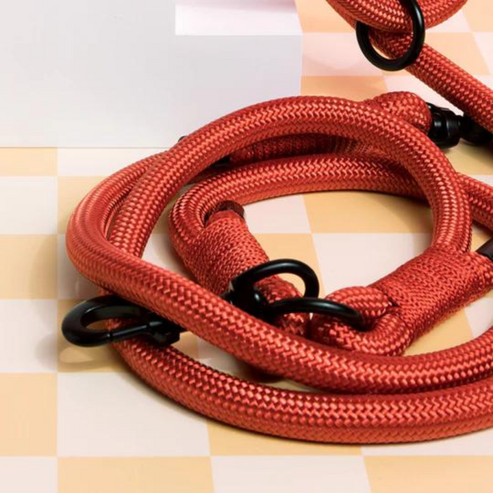 Hands-Free Rope Lead