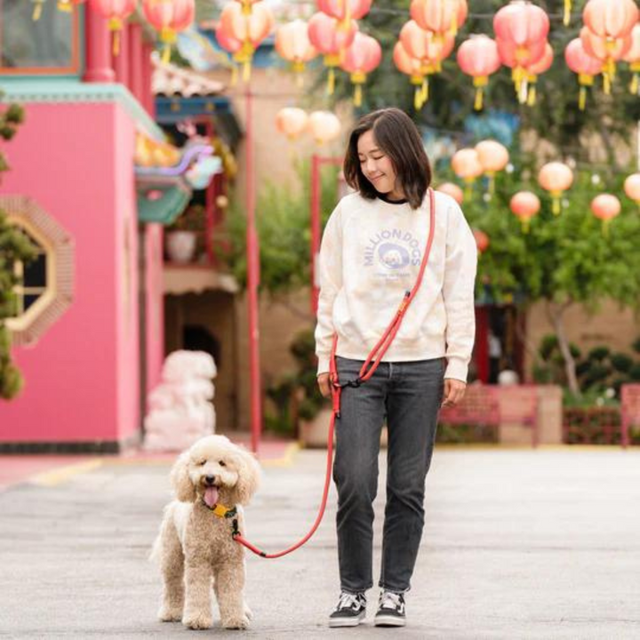 Hands-Free Rope Lead