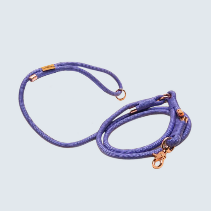 Hands-Free Rope Lead